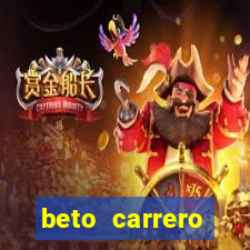 beto carrero cidades proximas